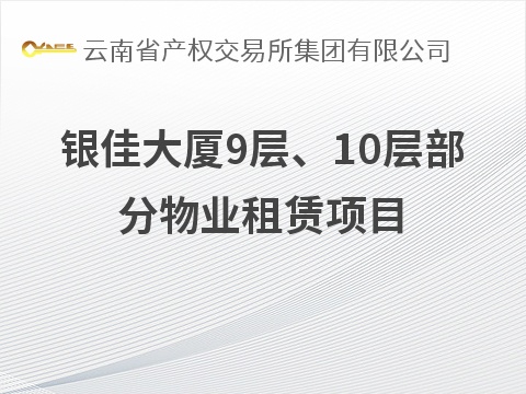 银佳大厦9层、10层部分物业租赁项目(国资监测编号GR2026YN1001105)
