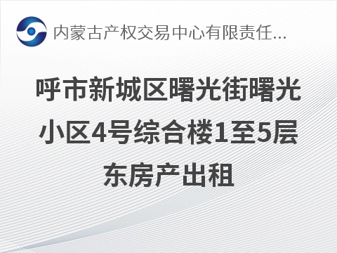 呼市新城区曙光街曙光小区4号综合楼1至5层东房产(148号院办公楼)出租（年租金42万元，租期三年）(国资监测编号GR2026NM1005025)
