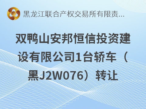 双鸭山市安邦恒信投资建设有限公司1台轿车（黑J2W076）转让交易公告(国资监测编号GR2026HL2006916)