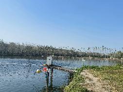 江苏徐州铜山区大彭镇沙塘果园水面及土地整体招租公告(国资监测编号GR2026JS4004266)