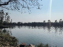 江苏徐州铜山区大彭镇沙塘果园水面及土地整体招租公告(国资监测编号GR2026JS4004266)