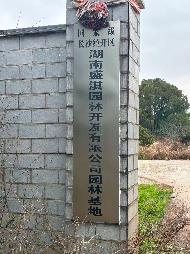 长沙县黄花敬老院前50米园林基地苗木招商公告