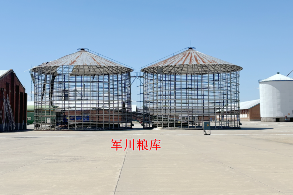 中央储备粮鹤岗直属库有限公司39座千吨囤拆除权及回收权转让交易公告(国资监测编号GR2026HL2006924)