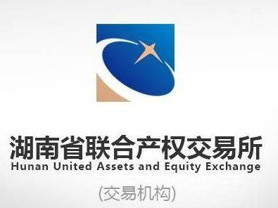 护栏警示装置相关无形资产3年普通许可使用权（三次许可）(国资监测编号GR2026HN1003934)
