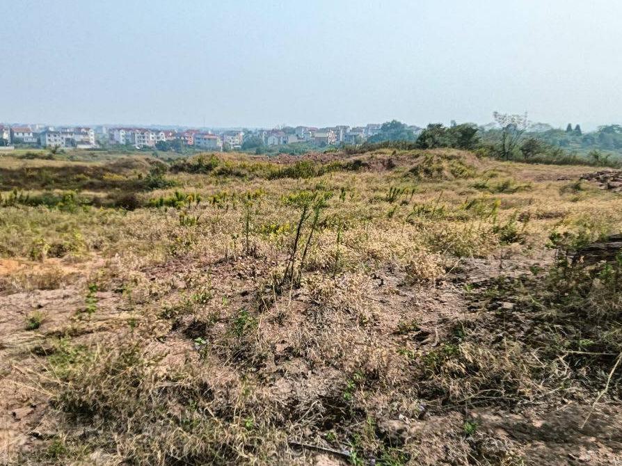 衢江区后溪镇赤山口村黄塘自然村塘塘山地块土地公开挂牌招租
