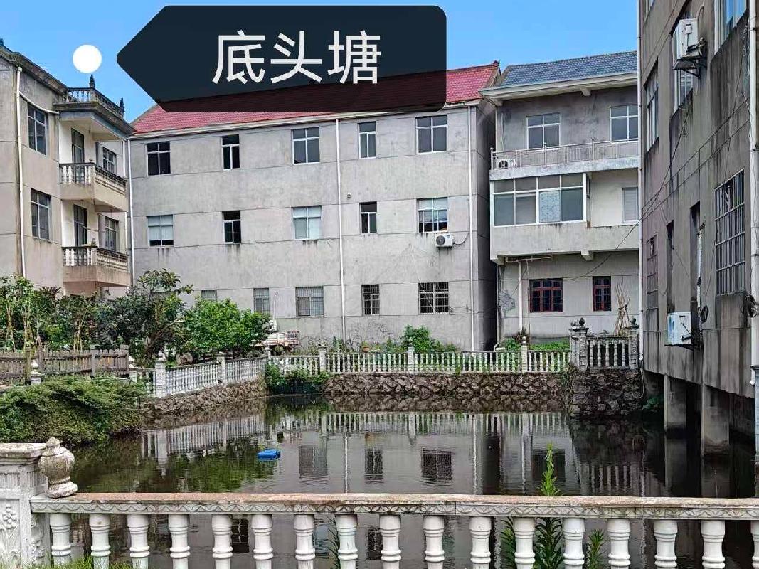 衢江区廿里镇文塘村水塘一批整体公开挂牌招租