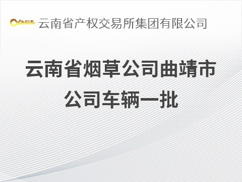 云南省烟草公司曲靖市公司车辆一批