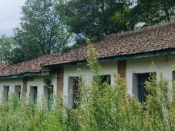 平凉市灵台县百里镇新集西街一处房产租赁公告(国资监测编号GR2026GS1001908)