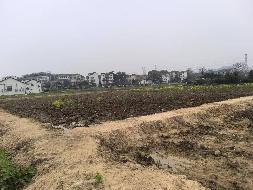 柯城区农田宜机化改造示范基地建设项目—石梁镇城西片区耕地公开挂牌招租