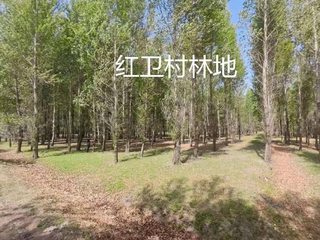 内蒙古农村商业银行股份有限公司 扎赉特旗支行6宗林地使用权及林木所有权分别转让询价