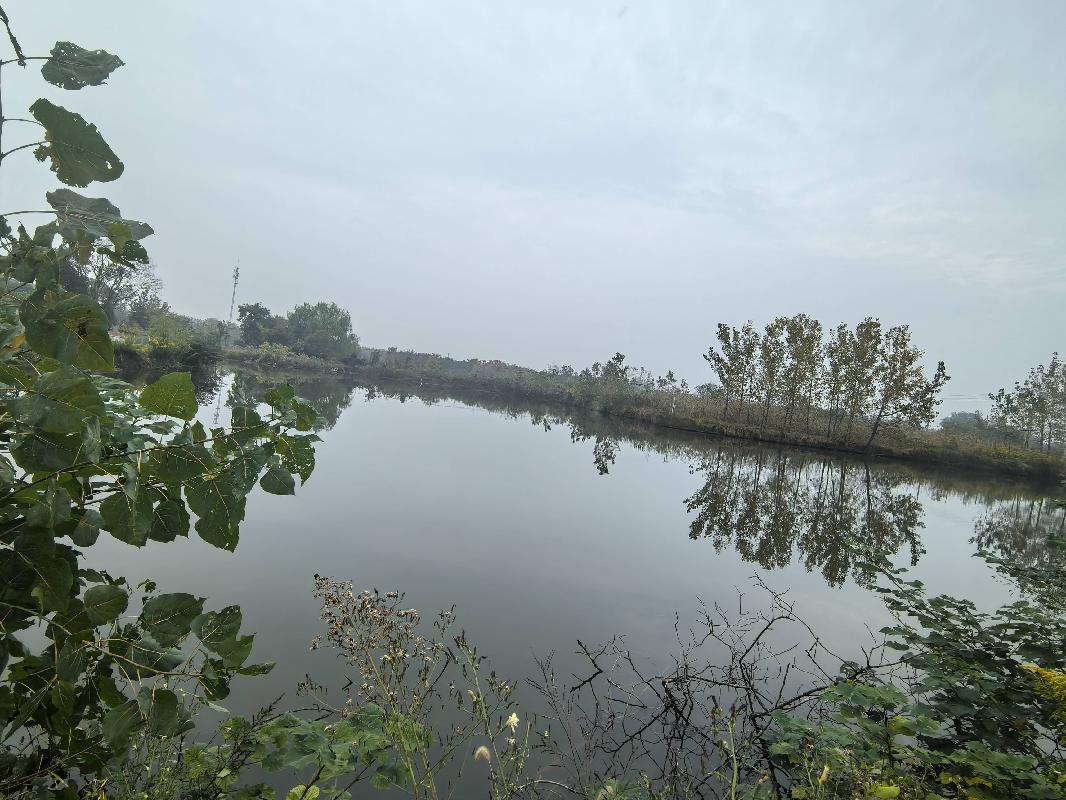 芜湖市鸠江区汤沟镇前进村约69.7亩水面经营权出租公告