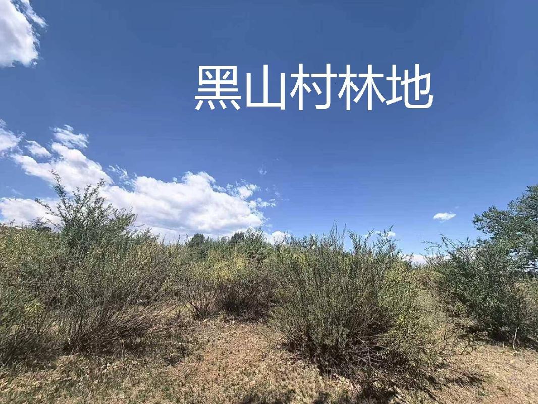 内蒙古农村商业银行股份有限公司 扎赉特旗支行6宗林地使用权及林木所有权分别转让询价