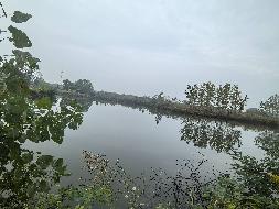 芜湖市鸠江区汤沟镇前进村约69.7亩水面经营权出租公告