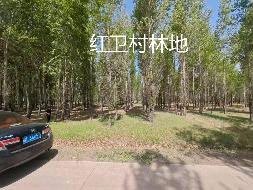 内蒙古农村商业银行股份有限公司 扎赉特旗支行6宗林地使用权及林木所有权分别转让询价
