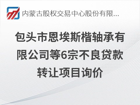 [包头市]包头市恩埃斯楷轴承有限公司等6宗不良贷款转让项目询价