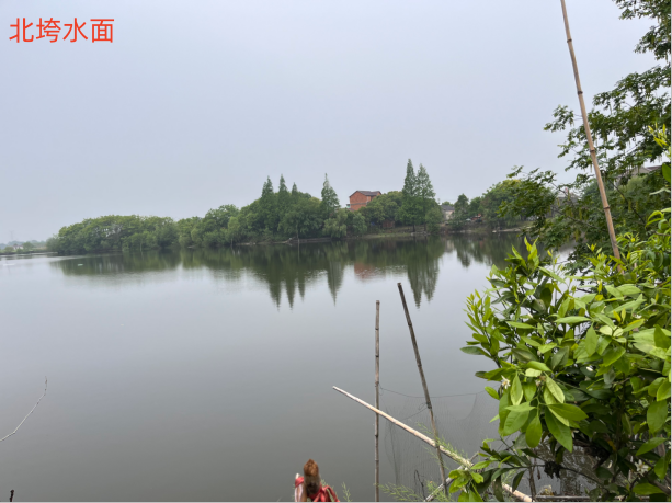 芜湖市湾沚区花桥镇咸定村22处水面5年期经营权出租公告
