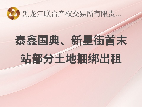 哈尔滨市交通基础设施投资建设管理有限公司泰鑫国典、新星街首末站部分土地捆绑出租交易公告(国资监测编号GR2026HL2007024)