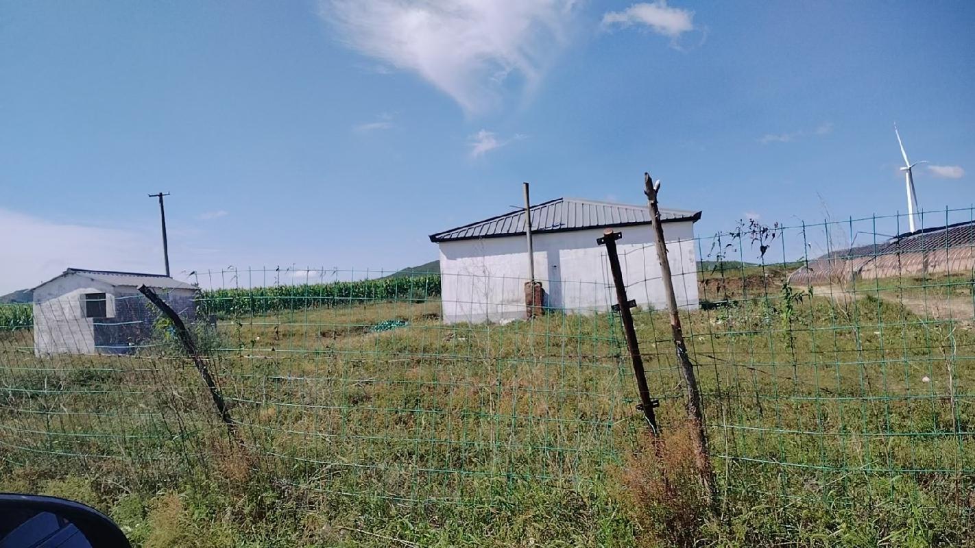 位于科尔沁右翼中旗杜尔基镇巴彦乌拉嘎查6栋蔬菜大棚出租 （租金底价：99000元/3年）