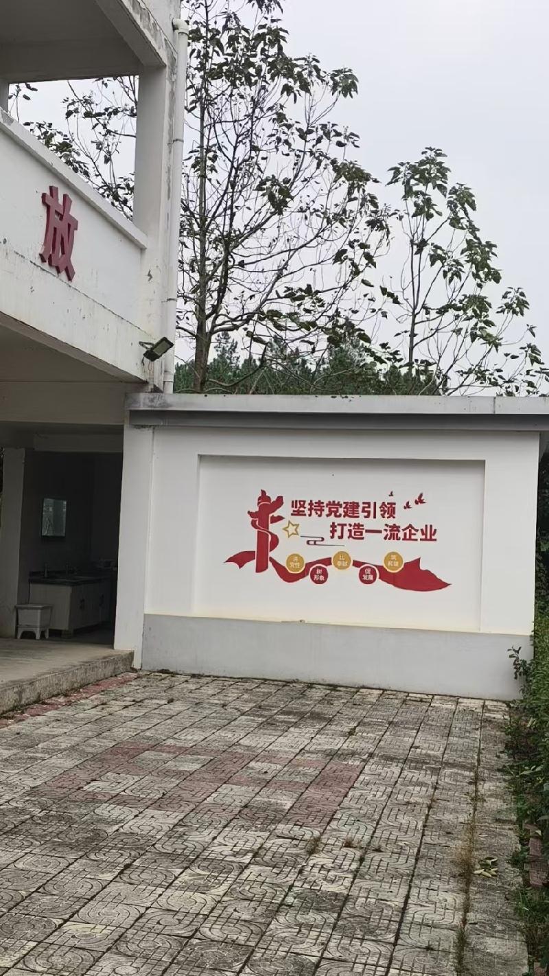 池州市贵池区牌楼镇牌楼中心学校济公小学2幢房产及土地出租公告(国资监测编号GR2026AH2003223)