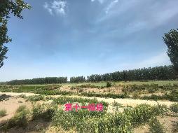 库车新盛农牧有限责任公司租赁位于阿克苏地区库车市齐满镇甬库团结村12010.6367亩农业用地