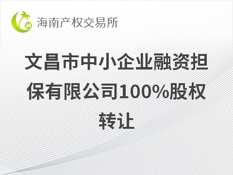 [省直辖县级行政单位]文昌市中小企业融资担保有限公司100%股权转让