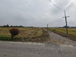 芜湖市弋江区火龙街道火龙村约1831.19亩土地经营权出租公告