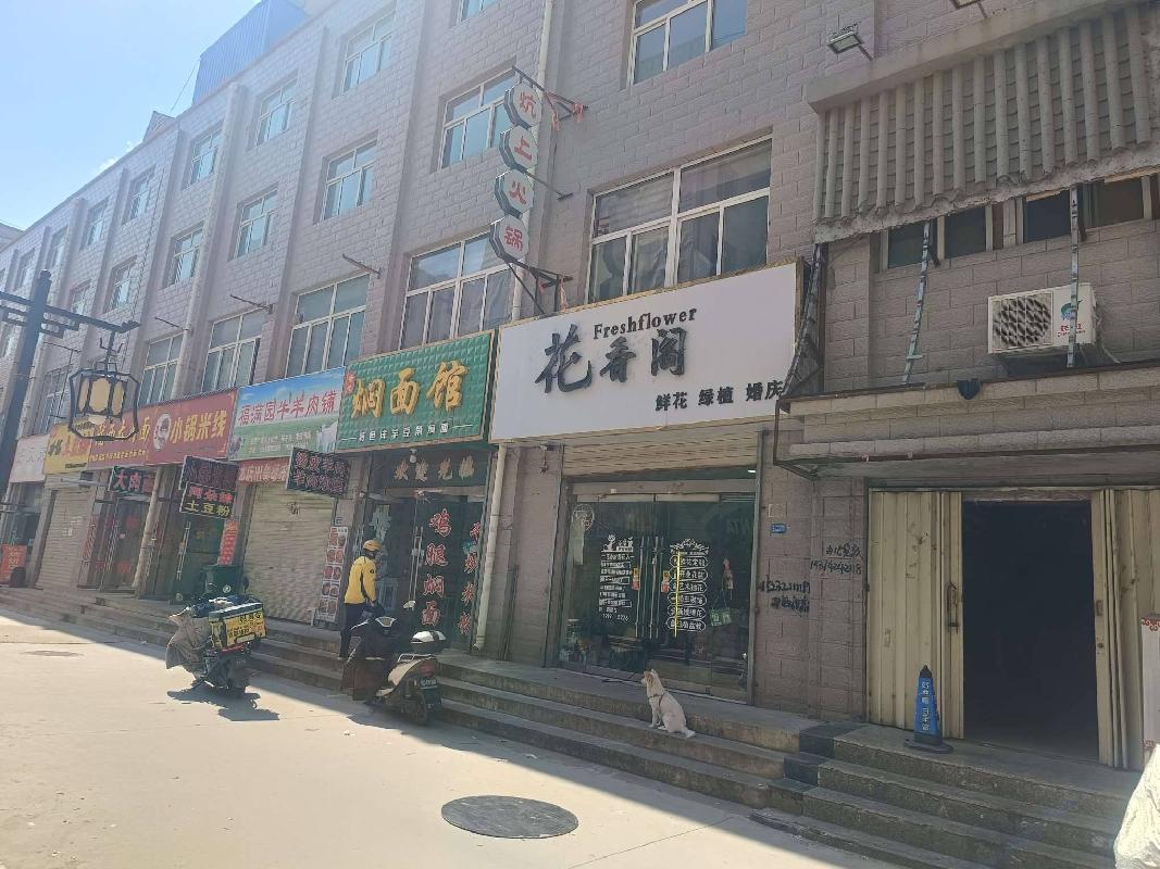 甘肃省定西市陇西县文峰镇交通路19号开元公司综合楼二层B13-B18室商铺转让项目