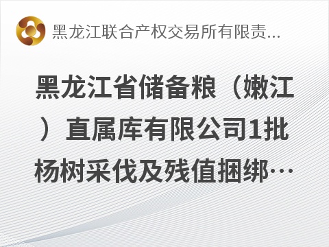 黑龙江省储备粮（嫩江）直属库有限公司1批杨树采伐及残值捆绑转让(国资监测编号GR2026HL2007137)