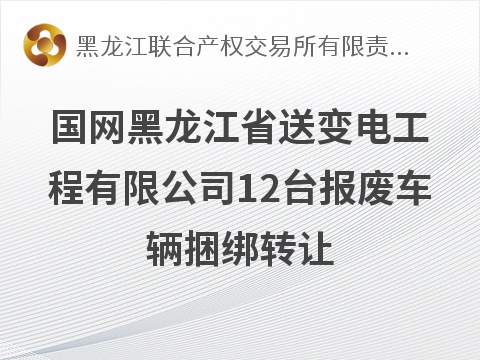 国网黑龙江省送变电工程有限公司12台报废车辆捆绑转让交易公告(国资监测编号GR2026HL2007149)