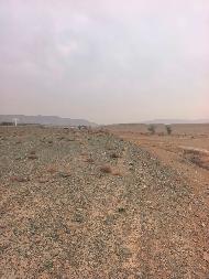 新疆生产建设兵团第十二师国有投资发展集团有限公司租赁位于新疆乌鲁木齐市(第十二师)经济技术开发区(头屯河区)兵团乌鲁木齐经济技术开发区榆泉北路东侧7宗土地使用权(国资监测编号GR2026XJ1002266)