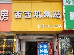 江苏徐州西苑南村中路综合3#二楼201-1招租项目公告(国资监测编号GR2026JS4004369)