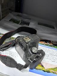 黑龙江省农业科学院畜牧研究所液晶电视等一批报废资产捆绑转让交易公告(国资监测编号GR2026HL2007227)