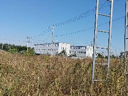 江苏徐州睢宁县官山镇标准化猪舍(三期)招租项目公告(国资监测编号GR2026JS4004358)