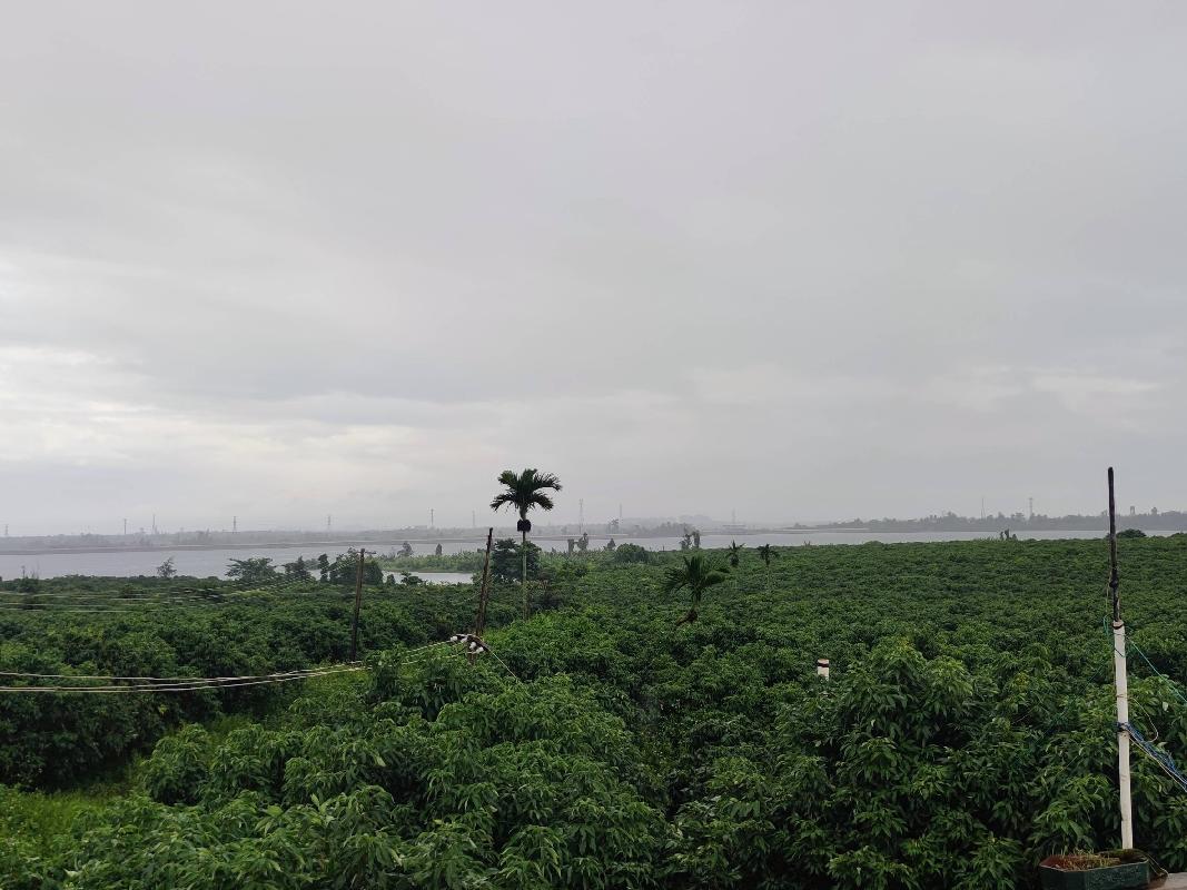 [海口市]海口市三江镇丁荣水库南侧13宗土地使用权（含地上经济作物）分别公开招租