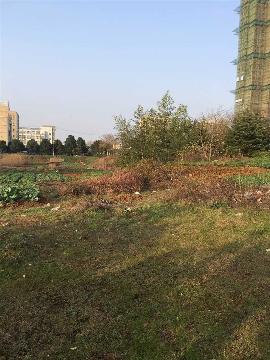 芜湖县湾沚镇城南电信机房以东、南湖路以北国有建设用地使用权拍卖交易公告