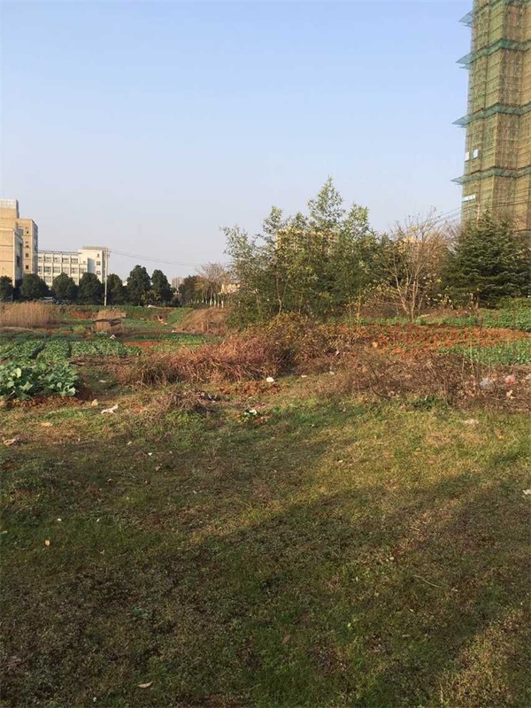 芜湖县湾沚镇城南电信机房以东、南湖路以北国有建设用地使用权拍卖交易公告