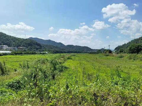 苏溪镇邢宅村土地流转