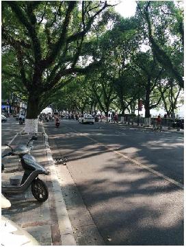 桂林市秀峰区滨江路16号可高•漓江1号商务办公楼第三层整层（10套房产）转让项目交易公告