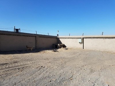 乌海包钢矿业有限责任公司厂区原火药库建构筑物公开招租（年租金底价200000元，租期3年）交易公告