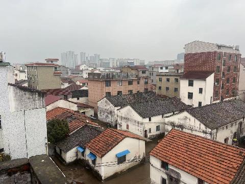 苏溪镇徐丰村更新改造旧房拆除物处置