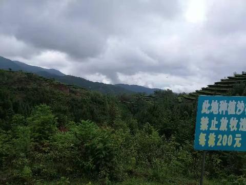芜湖允诚融资担保有限公司所属4,817.4亩土地承包经营权及林木所有权转让公告