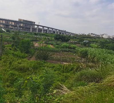 稠江街道下沿塘村横堰、荷仁塘及五介塘地块土地流转