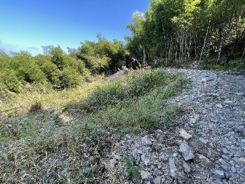 池州市贵池区梅村镇原金茂矿业关闭矿山遗留的隐患点渣土转让公告