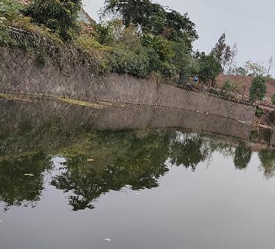 后宅街道西关田村上陈塘殿口山塘石方处置