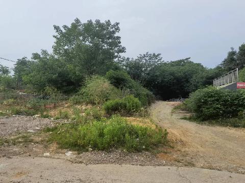 福田街道殿前村楼卜山场地招租