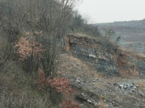 无为市石涧镇浪尖山石子厂、石灰轮窑厂废弃矿山地质环境治理工程产生的废弃石料转让公告