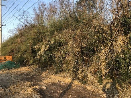 繁昌区孙村镇安徽中天纺织科技股份有限公司热电联产后方及周边零星地块矿产资源转让公告