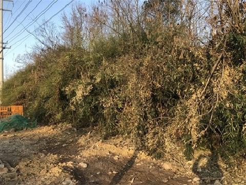 繁昌区孙村镇安徽中天纺织科技股份有限公司热电联产后方及周边零星地块矿产资源转让公告
