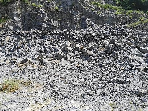 东至县梅城林场办公区剩余矿石资源转让公告