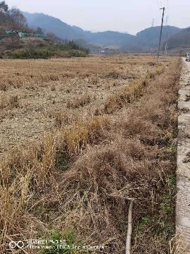 楂林二村东坑弄水库下和葫芦田畈地块土地流转